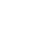 Debt Management Partner